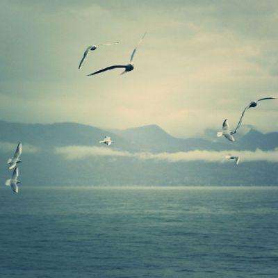 澳门mgm娱乐官网下载手机版