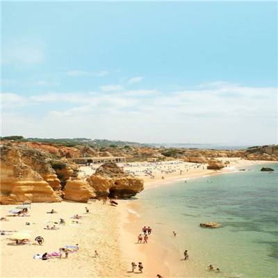 亚星手机版app下载