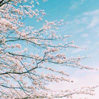 开元im电竞官网截图